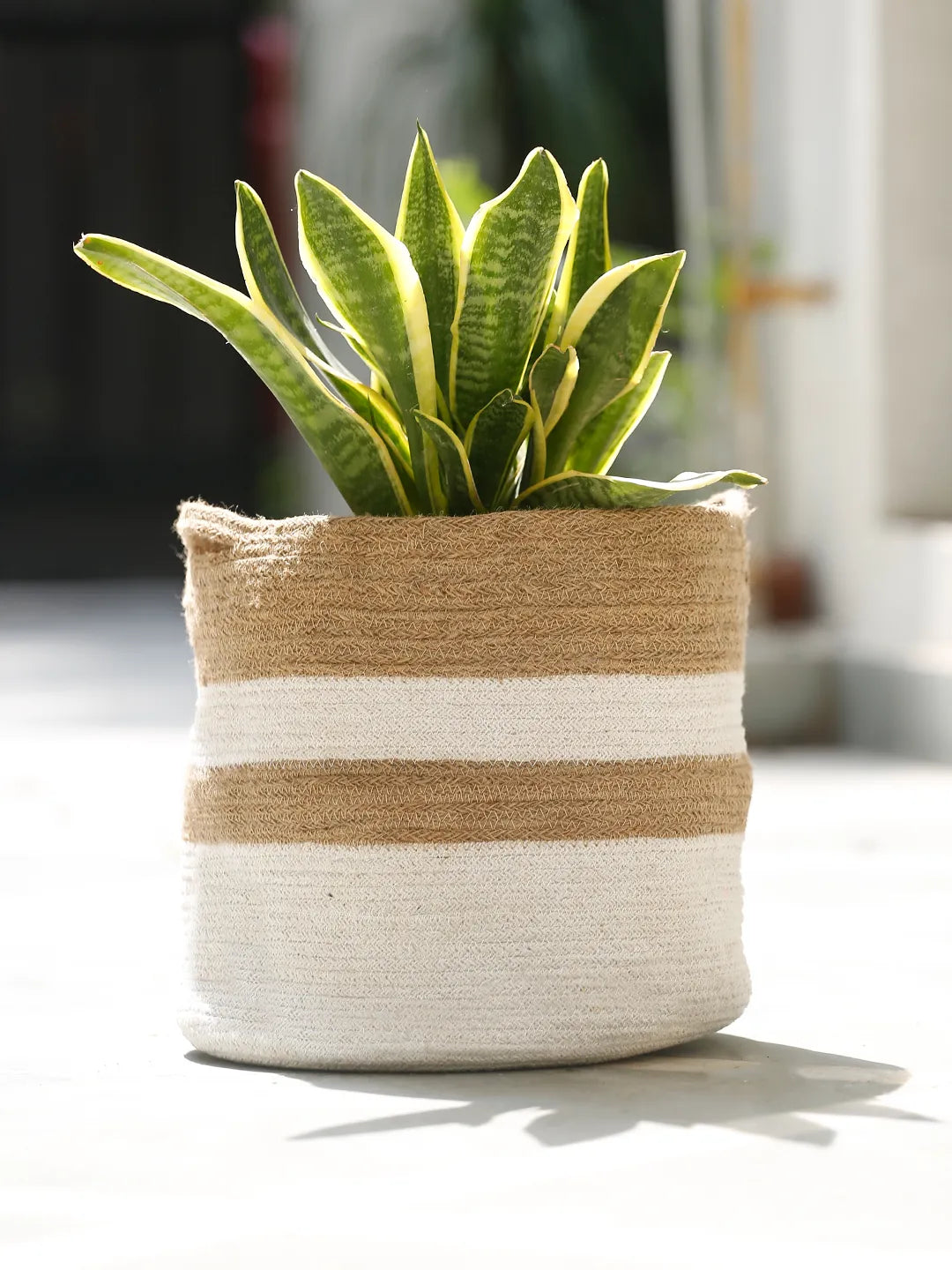 Shilpkara "Earthly Essence" Handwoven Organic Natural Jute Planter Cum  Eco-Friendly Cotton Dori Storage Basket (White & Brown)